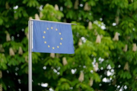European Union flag on the background of trees. Bad Salzschlirf, Hessen, Germany