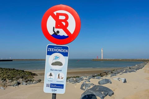 No swimming zone between groynes and sign in front of beach warning walkers not to disturb resting
