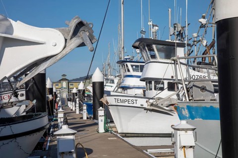 Crescent City, California - Fishing boats in Crescent City harbor
