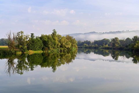 Forest shrouded in fog is reflected in the Flachsee, Rottenschwil, Canton Aargau, Switzerland