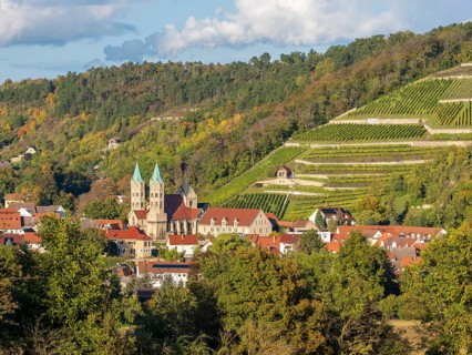 View of the town of Freyburg with the town church of St. Marien and vineyards in autumn, Freyburg
