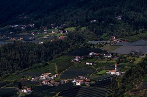Village of Kuens with parish church of St Maurice and St Corbinian, between apple orchards, fruit