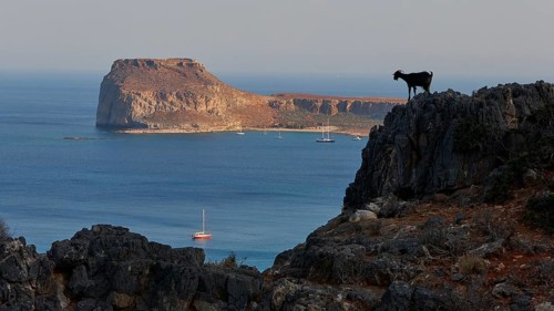 Venetian sea fortress Gramvoussa, sailing boats, lagoon, island Gramvoussa, goat (caprae) on rocks,