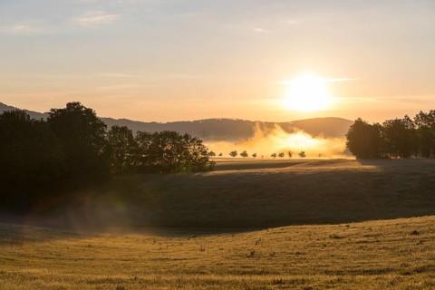 Sun and morning fog near Cunewalde, Upper Lusatia, Saxony, Germany