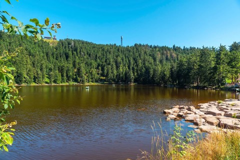 Beautiful summer landscape at Lake Mummel or Mummelsee, Black Forest, Germany