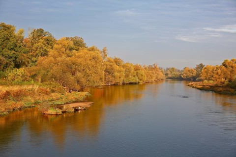 Autumn foliage colouring on the banks of the Mulde river near Dessau, Autumn atmosphere in the