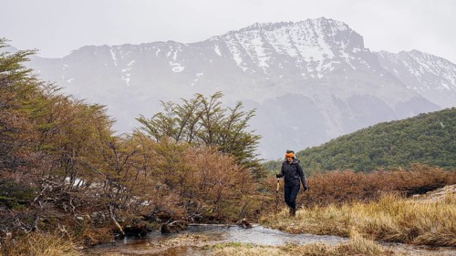 Woman hikes through grassland, Glaciar Vinciguerra, Ushuaia, Tierra del Fuego Province, Argentina,