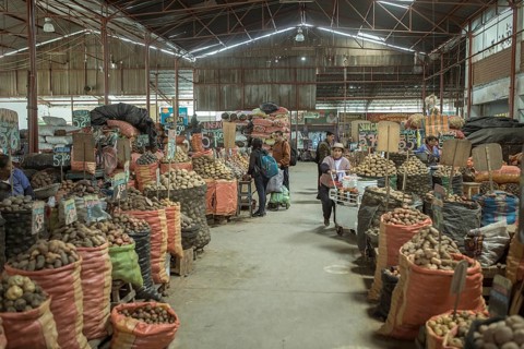 Market hall, potato variety, Mercado Mayorista, Huancayo, Peru