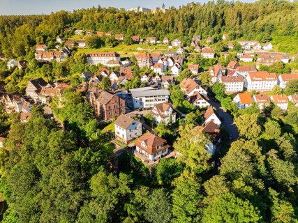 Aerial view of a settlement with many houses on a green hill on a sunny summer day, Calw, Black