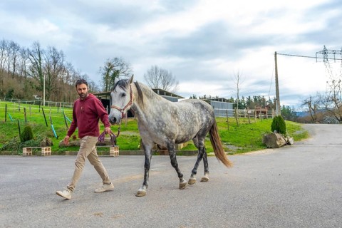 Man walking a horse with a rope at an equestrian center in a cloudy day