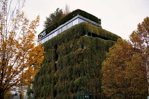 Climate-neutral façade greening on the new building, office building of CMS Hasche Sigle, Calwer