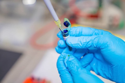 A reagent is handled with a pipette in a laboratory, Youth Research Centre Nagold, Black Forest