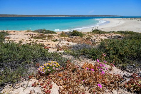 Landscape on Dirk Hartog Island, Dirk Hartog Island National Park, named after the Dutch navigator