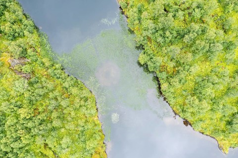 Aerial view of a lake with plants growing in a structure around a circle, near Digermulen on