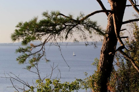 View from the Gnitz peninsula, September, Usedom, Mecklenburg-Western Pomerania, Germany