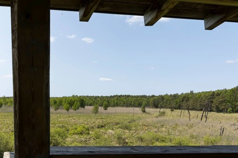 View from the observation tower in the Dubringer Moor nature reserve near Neudorf Klösterlich,