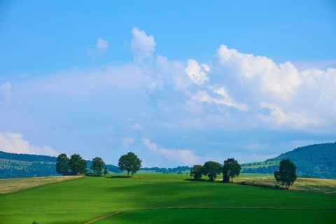 Wide green meadow with scattered trees under a blue sky with clouds, Wachtküppel, Gersfeld, Rhön,