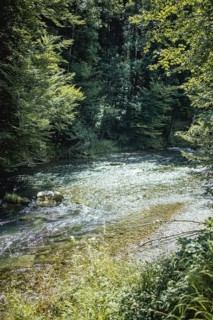 Mangfall near Bruckmühl, district of Miesbach, Upper Bavaria, Bavaria, Germany