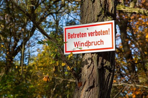 No trespassing sign, wind break, on a tree, Zschorna, Thiendorf, Saxony, Germany