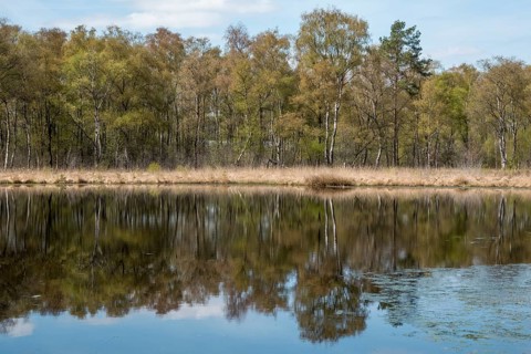 Nature conservation and FFH area, Heideweiher, Heubachniederung, Gescher, Münsterland, North