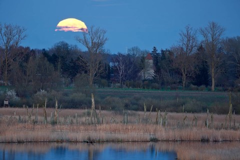 A large full moon stands low on the horizon above a quiet field and trees, view of the Randow loop
