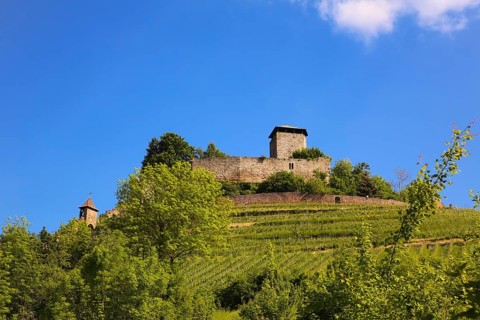 Hohenbeilstein Castle, hilltop castle, wine-growing, Beilstein, Heilbronn district,