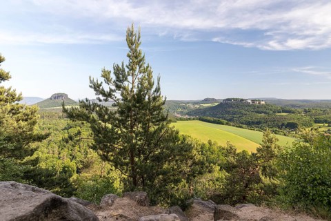 View from Kleiner Bärenstein to Lilienstein, Pfaffenstein and Königstein Fortress, Saxon