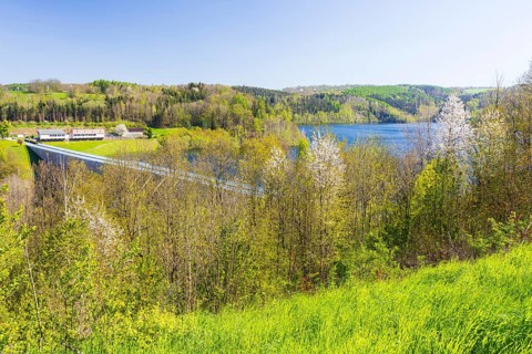 View of the Gottleuba dam with dam wall, Bad Gottleuba, Saxony, Germany