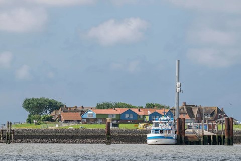 Harbour, ferry pier, Hallig Hooge, Backenswarft, North Frisia, Schleswig-Holstein, Germany