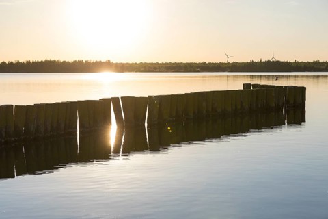 Wooden groynes and reflection of the sun, Werbeliner See, Rackwitz, Saxon Lake District, Saxony,