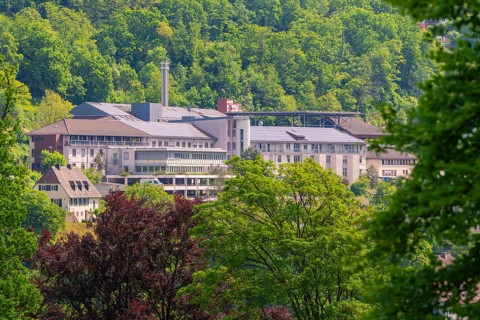 An urban building nestled in a green forest landscape with sunny weather, Altes Krankenhaus, Calw,