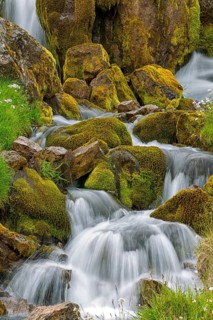Waterfall, stream, moss, stones, small waterfalls, Iceland, Hnjótur, Vestfirðir, Iceland