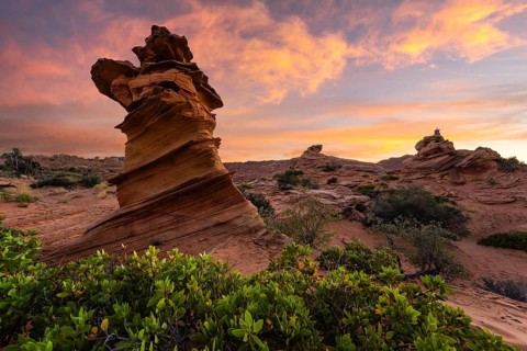 Sunset casting vibrant colors over the unique rock formations and green plants at Coyote Buttes,