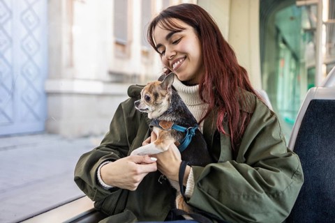 A young woman smiles warmly while holding her small chihuahua on public transport. She's wearing a