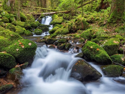Cascades of the pond stream in the pond gorge in autumn, pond gorge waterfall, moss-covered rocks