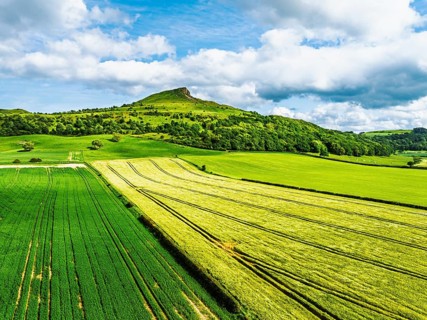 Roseberry Topping from a drone, Great Ayton, Newton, North Yorkshire, England, United Kingdom