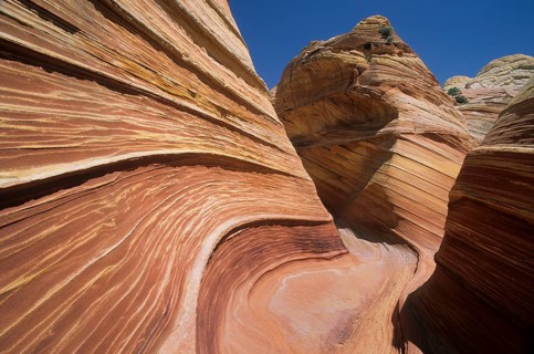 USA, Arizona, The Wave, The Wave, Paria-Vermillion Wilderness, North Coyote Buttes, Sandstone