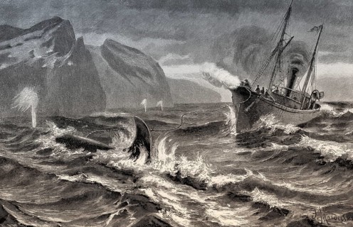 Whaling at the Siberian coast with a harpoon fired from a cannon, 19th century