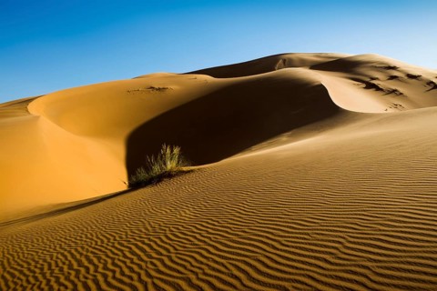 Sand dunes, sunset, near Merzouga, Meknès-Tafilalet region, Erg Chebbi, northern Sahara, Morocco