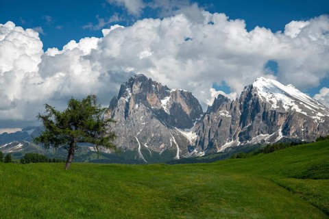 Alpe di Siusi in the Dolomites mountains of Italy offers a stunning landscape. Verdant meadows