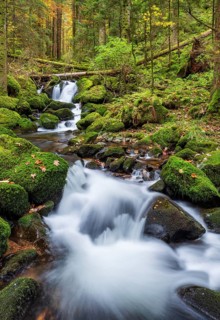 Cascades of the pond stream in the pond gorge in autumn, pond gorge waterfall, moss-covered rocks