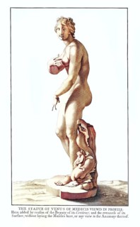 Anatomy, symbolic, the statue of Venus de Medici seen in profile, Villa Borghese, Rome, Italy,