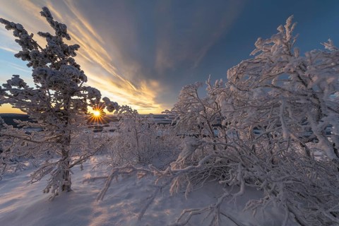 Winter sunset, Norrbotten, Lapland, Sweden, November 2020