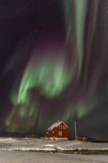 Green and violet northern lights over a red house on the coast, aurora borealis, winter, snow,