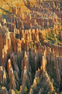 Bryce Canyon, Bryce Canyon National Park, Utah, USA