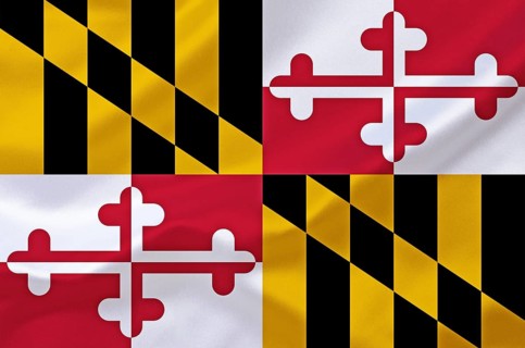 The flag of Maryland, USA, Studio