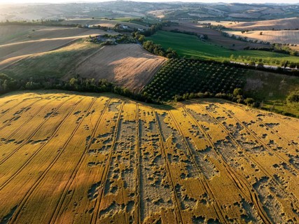 A drone view over Macerata's countryside showing a mix of cultivated fields and tree-lined plots,