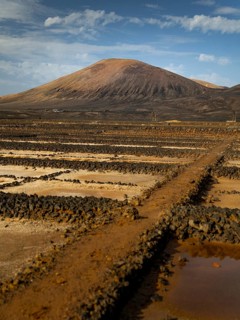 A stunning view of a traditional vineyard in Lanzarote, Canary Islands, framed by a majestic