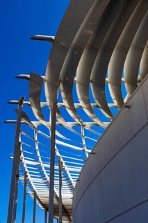 Lamellar roofing of the Mutrah fish market, Muscat, Arabian Peninsula, Sultanate of Oman