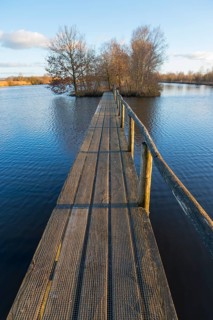Bridge, De Deelen, landscape conservation area, nature reserve, Luinjeberd, Lúnbert, Heerenveen,